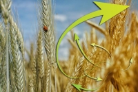 Перечень неплатежеспособных сельхозорганизаций Минской области, подлежащих финансовому оздоровлению