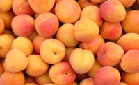 Абрикосы